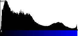 Blue Histogram