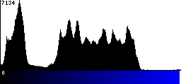Blue Histogram