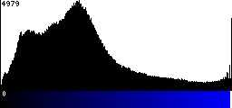 Blue Histogram