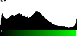 Green Histogram