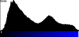 Blue Histogram