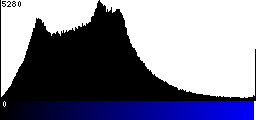 Blue Histogram