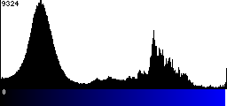 Blue Histogram