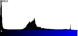 Blue Histogram