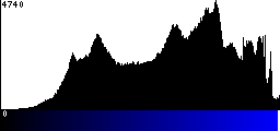 Blue Histogram