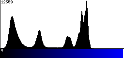 Blue Histogram