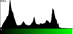 Green Histogram