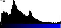Blue Histogram