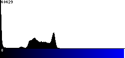 Blue Histogram
