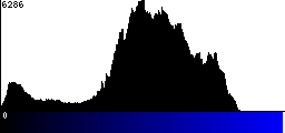Blue Histogram