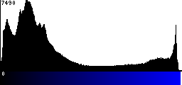 Blue Histogram