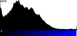 Blue Histogram