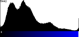 Blue Histogram