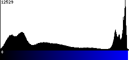 Blue Histogram