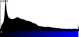 Blue Histogram