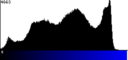 Blue Histogram