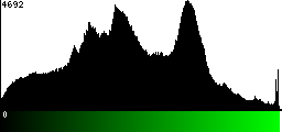 Green Histogram