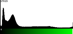 Green Histogram