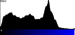 Blue Histogram