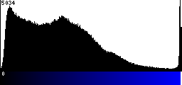 Blue Histogram