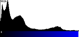 Blue Histogram
