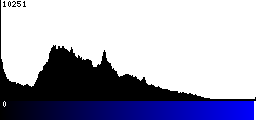Blue Histogram