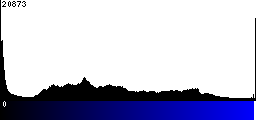 Blue Histogram