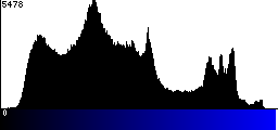 Blue Histogram