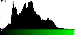 Green Histogram