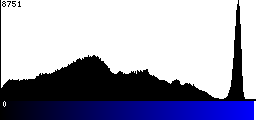 Blue Histogram