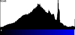 Blue Histogram