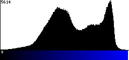 Blue Histogram