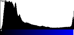 Blue Histogram