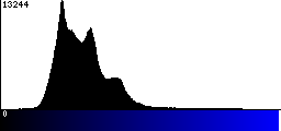Blue Histogram