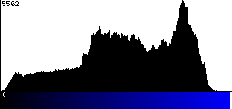 Blue Histogram