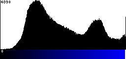 Blue Histogram