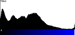 Blue Histogram