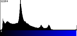 Blue Histogram