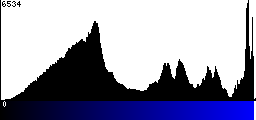 Blue Histogram