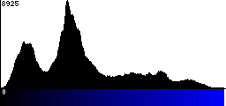 Blue Histogram