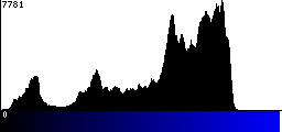 Blue Histogram