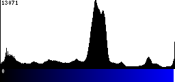 Blue Histogram