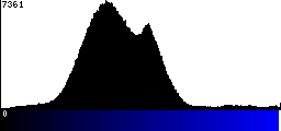 Blue Histogram