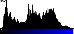 Blue Histogram