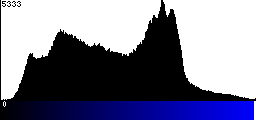 Blue Histogram