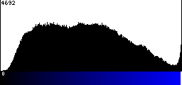 Blue Histogram