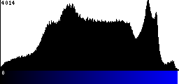 Blue Histogram
