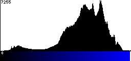 Blue Histogram