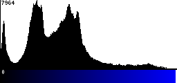 Blue Histogram
