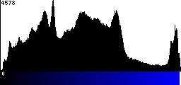 Blue Histogram